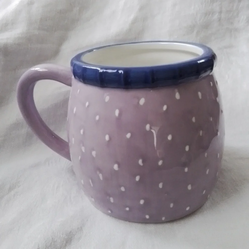 Sur La Table Earthenware Owl Mug